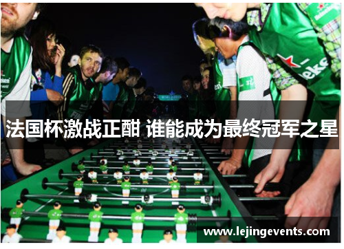 法国杯激战正酣 谁能成为最终冠军之星